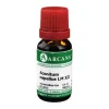 Aconitum Arcana LM 12 Dilution, 10 ml