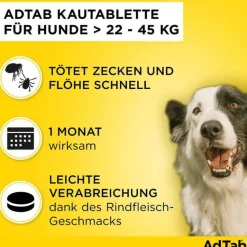 Best Adtab ™ Kautabletten für extra große Hunde 900 mg 22 bis 45 kg, 3 St