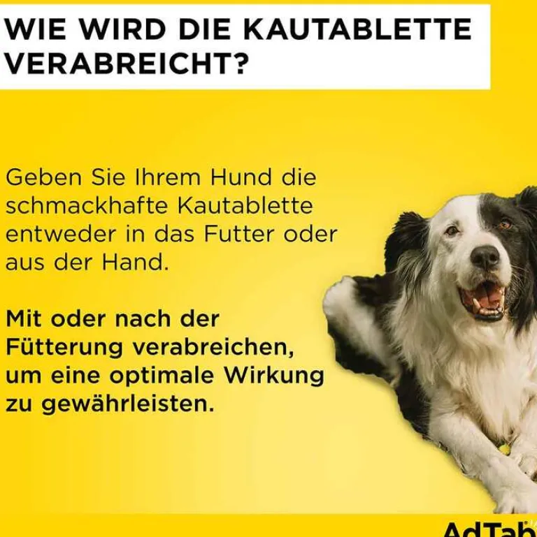 Best Adtab ™ Kautabletten für extra große Hunde 900 mg 22 bis 45 kg, 3 St