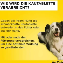 AdTab™ Kautabletten für große Hunde 450 mg 11 bis 22 kg, 3 St