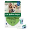 Hot Advantage 400 für Hunde ab 25 kg, 1X4 St