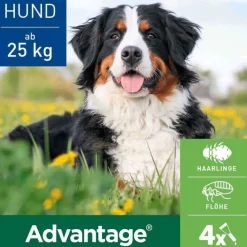 Hot Advantage 400 für Hunde ab 25 kg, 1X4 St