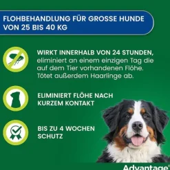 Hot Advantage 400 für Hunde ab 25 kg, 1X4 St