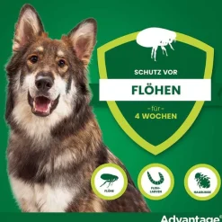 Hot Advantage 400 für Hunde ab 25 kg, 1X4 St