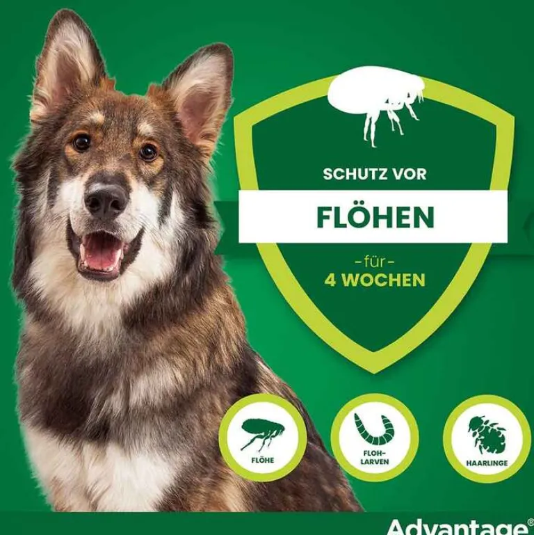 Hot Advantage 400 für Hunde ab 25 kg, 1X4 St