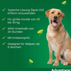 Hot Advantage 400 für Hunde ab 25 kg, 1X4 St