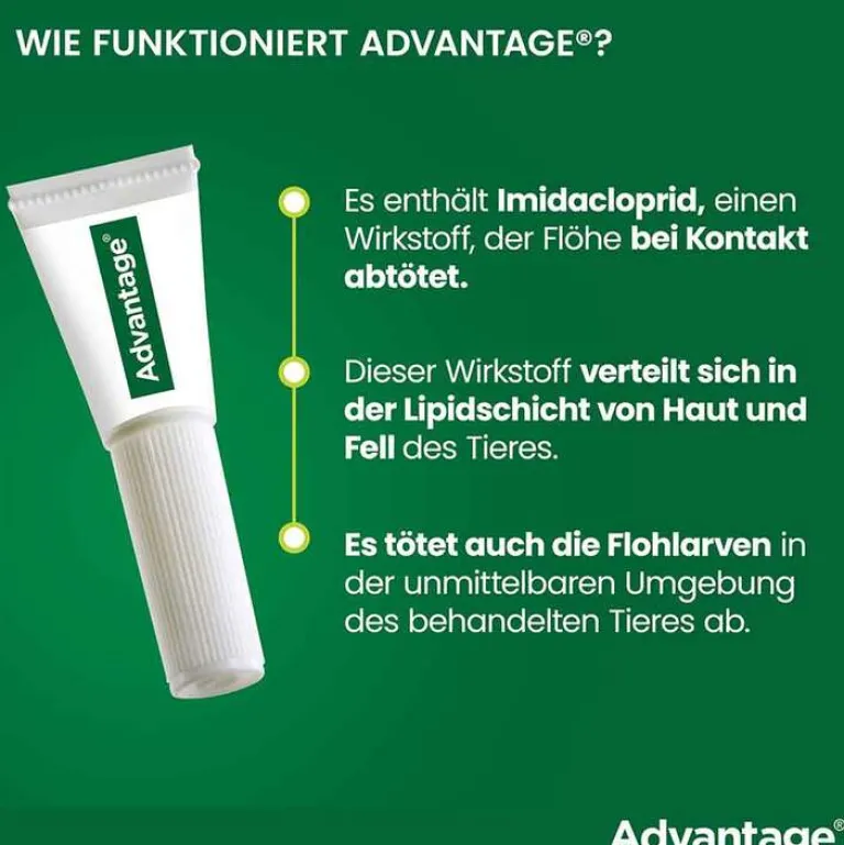 Hot Advantage 400 für Hunde ab 25 kg, 1X4 St
