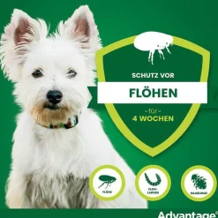 Clearance 40 für Hunde bis 4 kg, 4 St Flöhe, Zecken & Co.