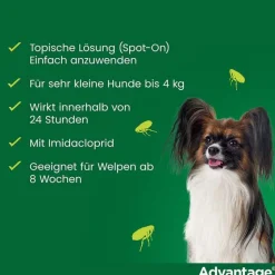 Clearance 40 für Hunde bis 4 kg, 4 St Flöhe, Zecken & Co.