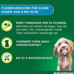 Best 100 für Hunde von 4-10 kg, 4 St Flöhe, Zecken & Co.