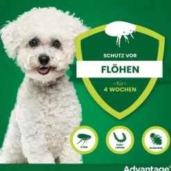 Best 100 für Hunde von 4-10 kg, 4 St Flöhe, Zecken & Co.
