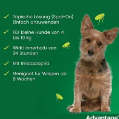 Best 100 für Hunde von 4-10 kg, 4 St Flöhe, Zecken & Co.