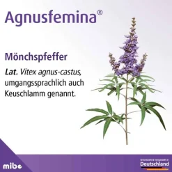 Agnusfemina 4 mg Filmtabletten , 60 St