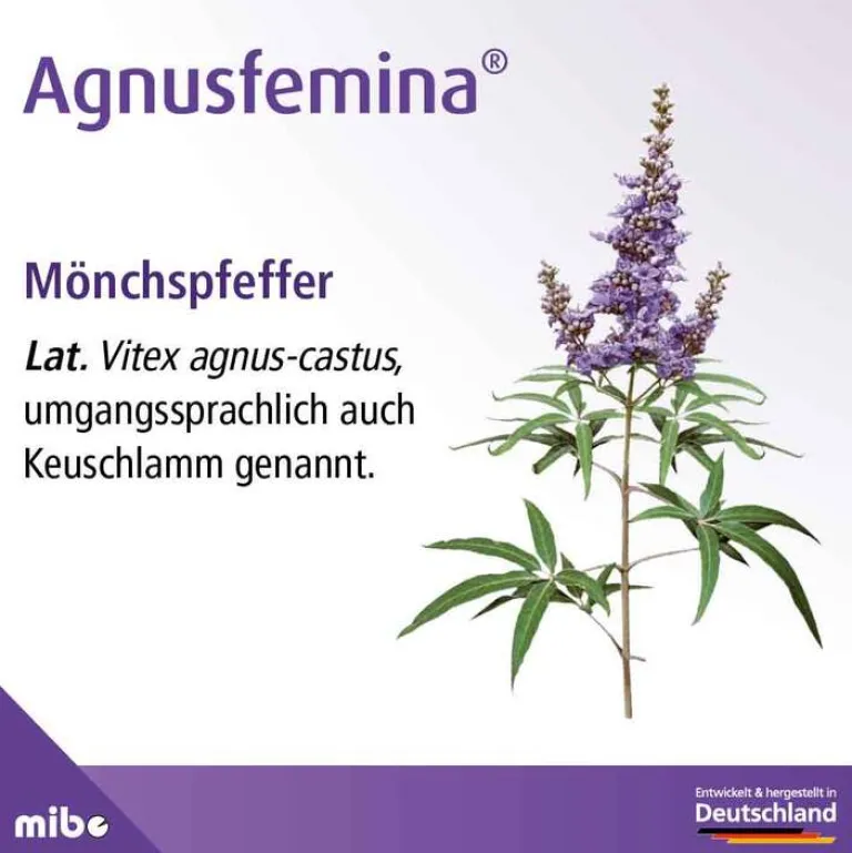 New 4 mg Filmtabletten , 30 St Pms Behandeln