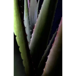 Online Aloe Vera Extra rich cream mask, 30 ml Gesichtsmasken