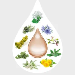 Best Weleda Amara-Tropfen Dilution, 50 ml