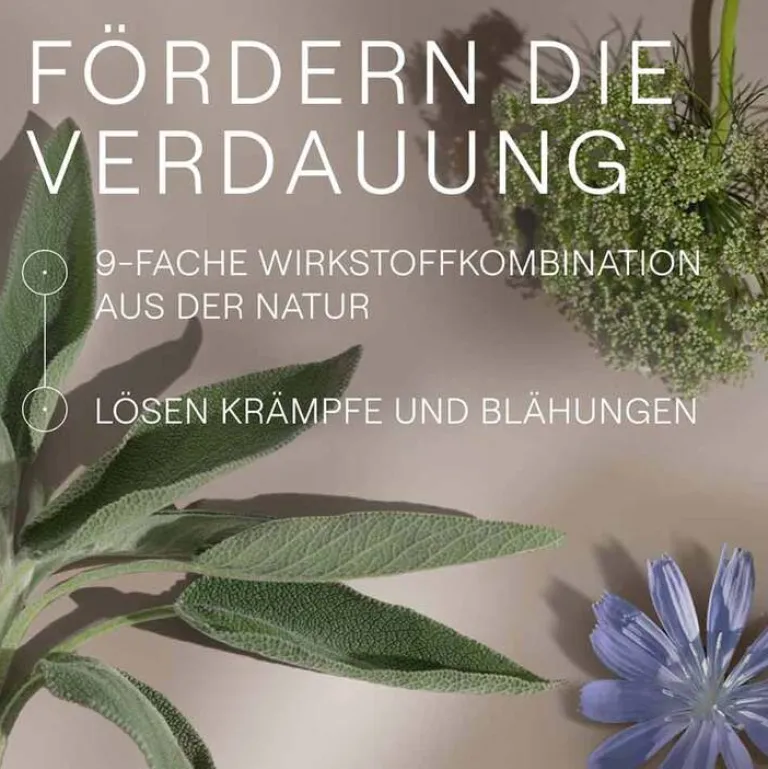 Best Weleda Amara-Tropfen Dilution, 50 ml