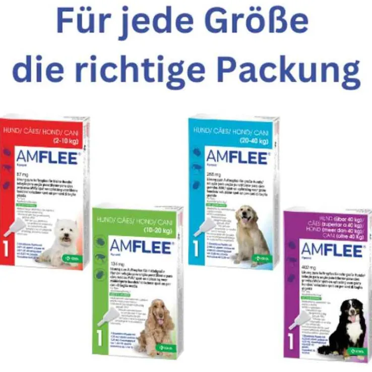 Amflee 402 mg Spot-On für sehr große Hunde, 3 St