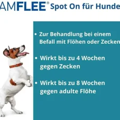 134 mg Spot-On Lösung für mittelgroße Hunde, 3 St Flöhe, Zecken & Co.