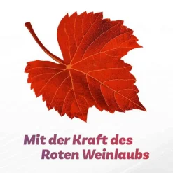 Sale ® Venencreme belebt müde & schwere Beine, 100 g Venenleiden