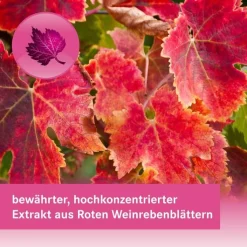 ANTIVENO Venentabletten 360 mg Filmtabletten, 90 St