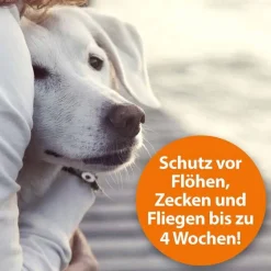 Best ARDAP Flohspray zur Anwendung am Tier, 250 ml