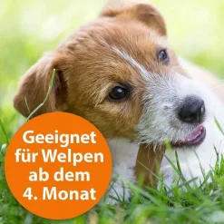 Ardap Spot-On für große Hunde über 25 kg, 3 St