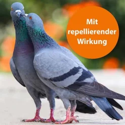 Best Spot-On für Ziervögel und Brieftauben, 2 St Produkte Für Brieftauben