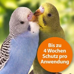 Best Spot-On für Ziervögel und Brieftauben, 2 St Produkte Für Brieftauben