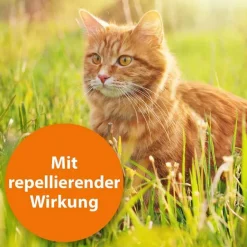 Online ARDAP Zecken- / Flohschutzhalsband Katzen ab 4. Monat, 1 St