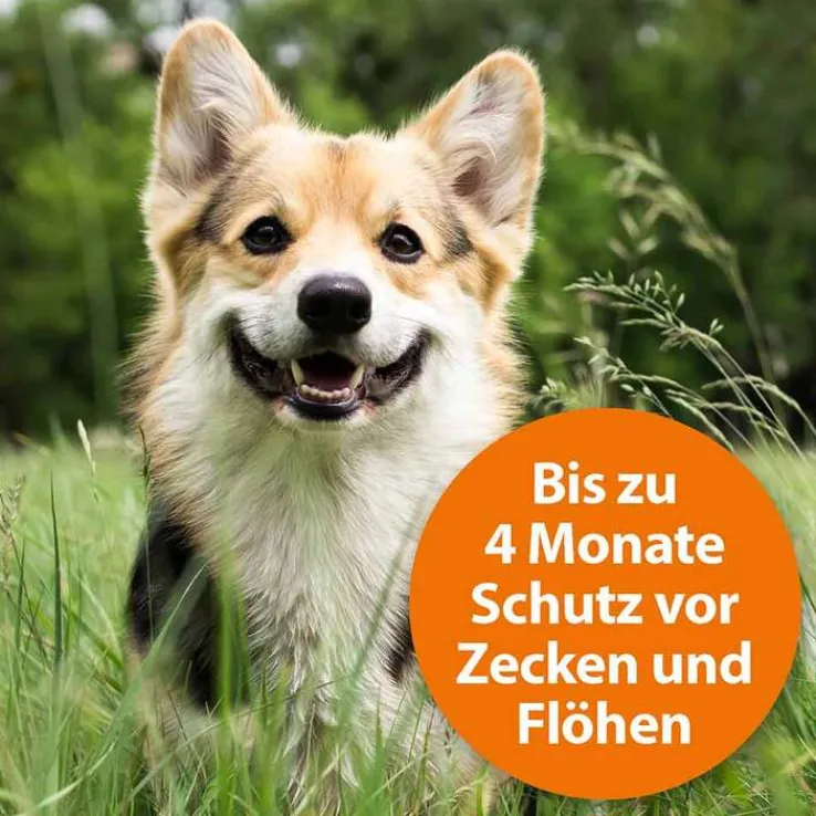 Ardap Zecken-/Flohschutzhalsband große Hunde über 25 kg, 1 St