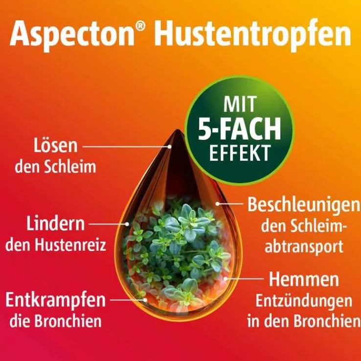 Aspecton® Hustentropfen, 50 ml