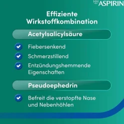 Hot Complex Granulat, 10 St Ass-Acetylsalicylsäure|Schnupfen & Nasennebenhöhlen