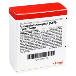 Outlet Atp forte Ampullen, 10 St Heel