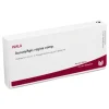 Online Wala Aurum / Apis Regina comp. Ampullen, 10X1 ml