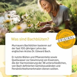 Online Bachblüten Murnauer Original Globulini n.Dr. Bach, 10 g Bachblütenglobuli