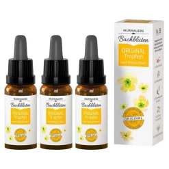 Sale Bachblüten Original Tropfen nach Dr. Bach, 3x20 ml Bachblütentropfen