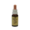 Online Murnauers Bachblüten Murnauer Tropfen Walnut, 20 ml