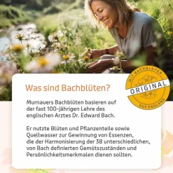 New Bachblüten Globuli Konzentrier Dich, 10 g Bachblütenglobuli