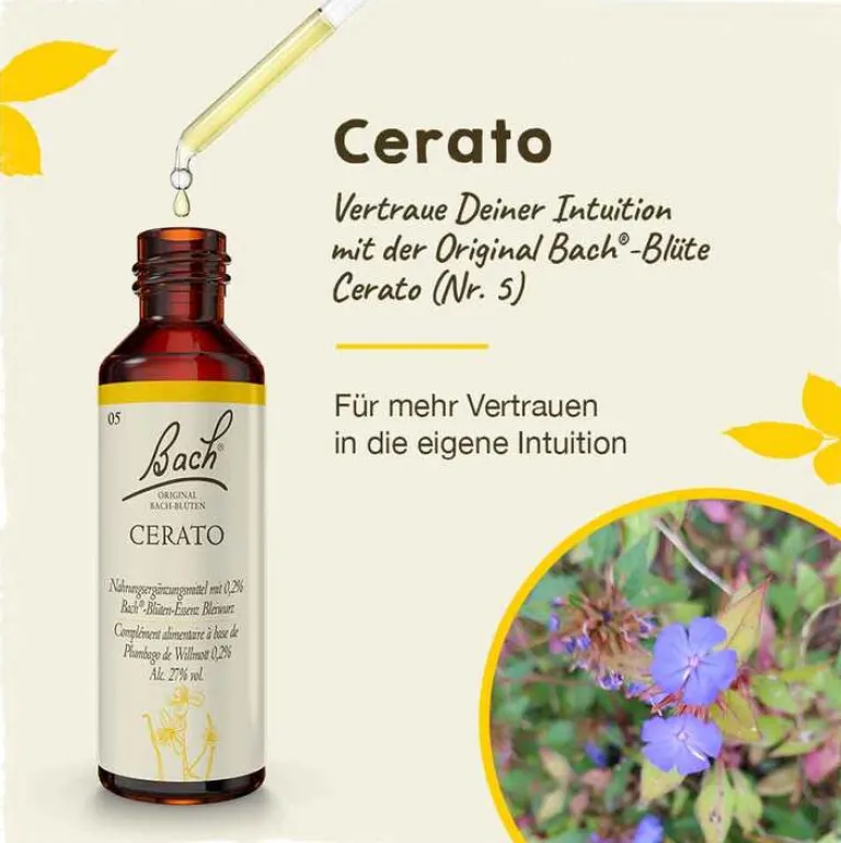 Hot Original Bachblüten Bachblüten Nr. 5 Cerato Tropfen, 20 ml