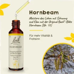 Sale Bachblüten Nr. 17 Hornbeam Tropfen, 20 ml Bachblütentropfen