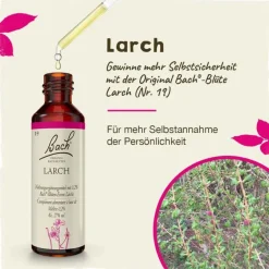 Online Original Bachblüten Bachblüten Nr. 19 Larch Tropfen, 20 ml