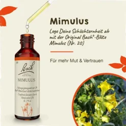 Clearance Original Bachblüten Bachblüten Nr. 20 Mimulus Tropfen, 20 ml