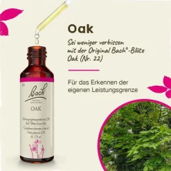 Sale Original Bachblüten Bachblüten Nr. 22 Oak Tropfen, 20 ml
