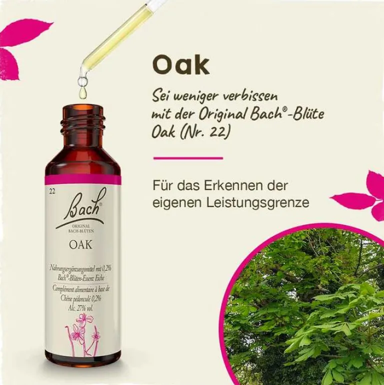 Sale Original Bachblüten Bachblüten Nr. 22 Oak Tropfen, 20 ml