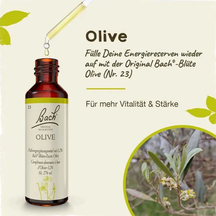 Bachblüten Nr. 23 Olive Tropfen, 20 ml