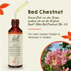 Discount Original Bachblüten Bachblüten Nr. 25 Red Chestnut Tropfen, 20 ml