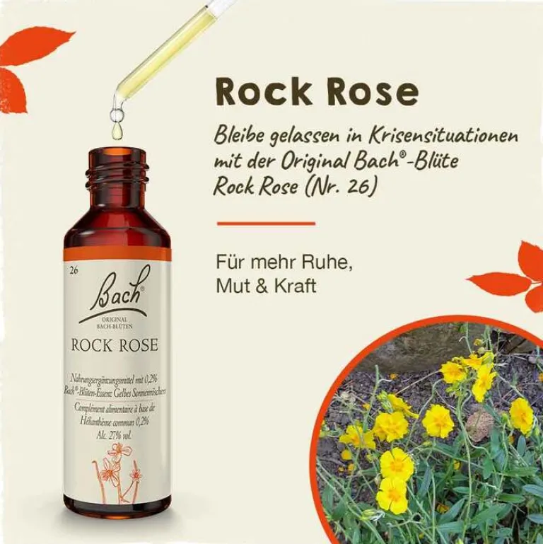 Outlet Bachblüten Nr. 26 Rock Rose Tropfen, 20 ml Bachblütentropfen