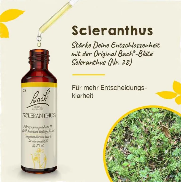 New Bachblüten Nr. 28 Scleranthus Tropfen, 20 ml Bachblütentropfen