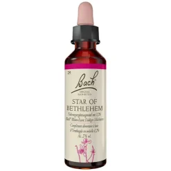 Best Bachblüten Nr. 29 Star of Bethlehem Tropfen, 20 ml Bachblütentropfen